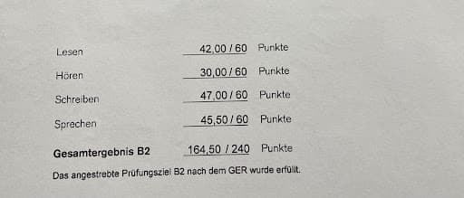 Avelang Sprachschule Sprachschule — Kundenfoto