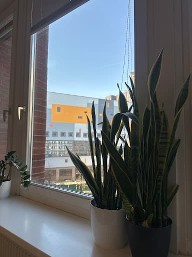 Speakeasy Hamburg - German language school — Kundenfoto